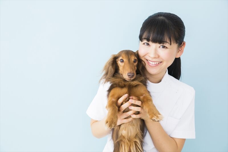 犬を抱っこするスタ府