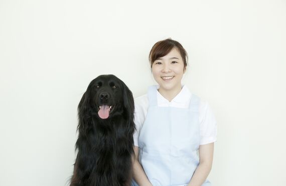 春日井市のペットホテルは中型犬にも優しい環境とサービスを提供いたします