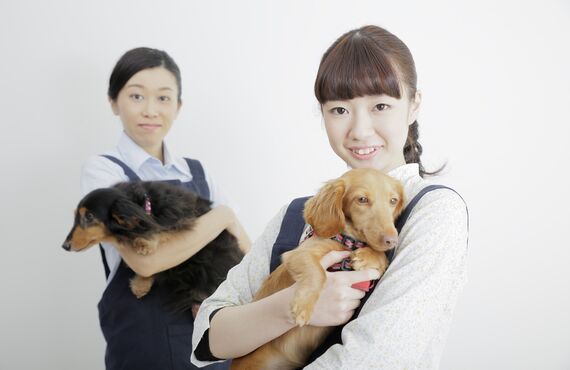 春日井市のペットシッターに動物病院への送迎も安心してお任せください