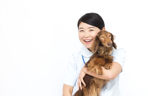 春日井市で活躍するペットシッター集団は適切なしつけも丁寧に行います